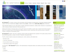 Tablet Screenshot of bktelematics.com